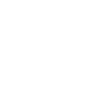 EV Logo White 300